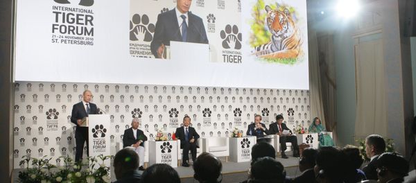 Prime Minister Vladimir Putin (left, foreground) speaking at the International Tiger Conservation Forum, November 23, 2010. (File) Prime Minister Vladimir Putin (left, foreground) speaking at the International Tiger Conservation Forum, November 23, 2010. (File) - Sputnik International