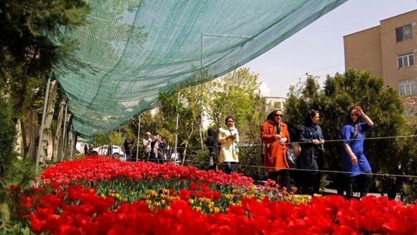 Tulips in Tehran Tulips in Tehran - Sputnik International