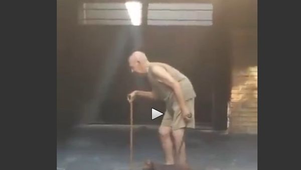 Dog has patience of a Saint - Sputnik International