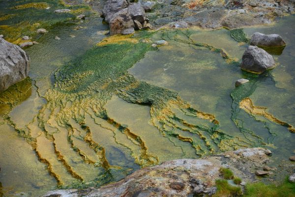 Russia's Breathtaking Valley of Geysers - Sputnik International