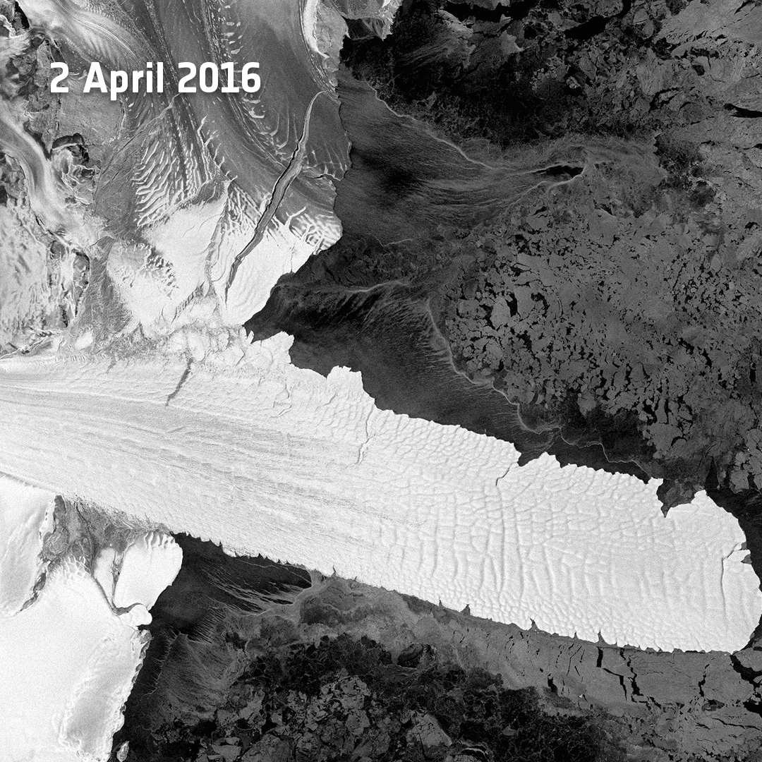 The two icebergs breaking off the Nansen ice shelf - Sputnik International