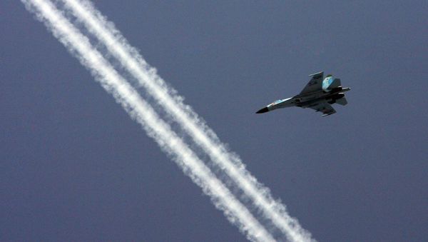 The Baltic Fleet Su-27 fighter squadron The Baltic Fleet Su-27 fighter squadron - Sputnik International