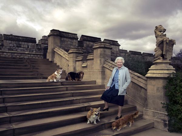 ‘Zoom Monarchy’ Predicted as COVID-19 May Keep Queen in Lockdown 'Indefinitely' Until Vaccine Found ‘Zoom Monarchy’ Predicted as COVID-19 May Keep Queen in Lockdown 'Indefinitely' Until Vaccine Found - Sputnik International
