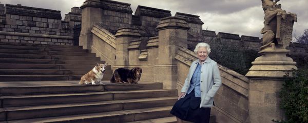 Britain's Queen Elizabeth II is seen walking in the private grounds of Windsor Castle on steps at the rear of the East Terrace and East Garden with four of her dogs. Britain's Queen Elizabeth II is seen walking in the private grounds of Windsor Castle on steps at the rear of the East Terrace and East Garden with four of her dogs. - Sputnik International