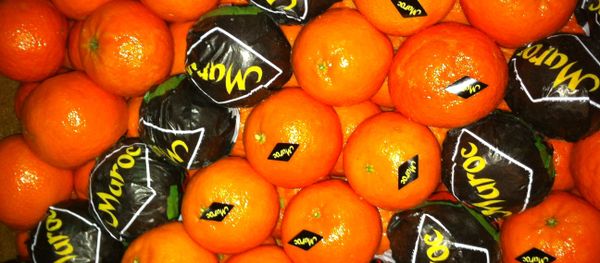 Morocco tangerines - Sputnik International