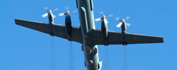 IL-20 - Sputnik International