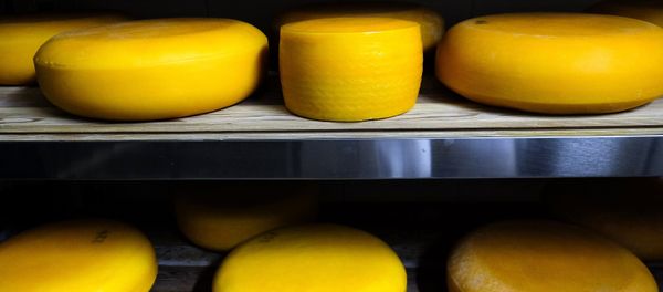 Camembert cheese production in Krasnodar Territory Camembert cheese production in Krasnodar Territory - Sputnik International