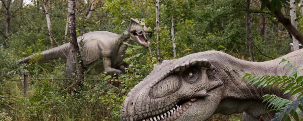 Life-sized animatronic dinosaurs are seen at Field Station: Dinosaurs, a 20-acre outdoor Jurassic learning expedition and family tourist attraction in Secaucus, N.J. on Thursday, Sept. 25, 2014 Life-sized animatronic dinosaurs are seen at Field Station: Dinosaurs, a 20-acre outdoor Jurassic learning expedition and family tourist attraction in Secaucus, N.J. on Thursday, Sept. 25, 2014 - Sputnik International