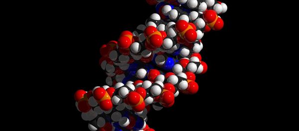 DNA DNA - Sputnik International