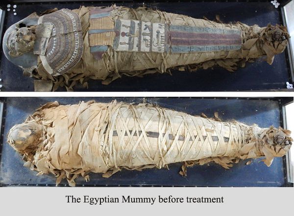 The Egyptian Mummy before treatment - Sputnik International
