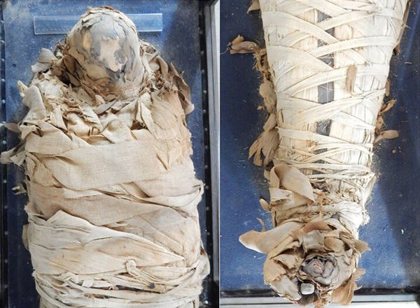  The Egyptian Mummy before treatment - Sputnik International