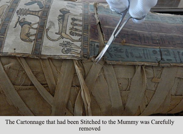 The Egyptian Mummy - Sputnik International
