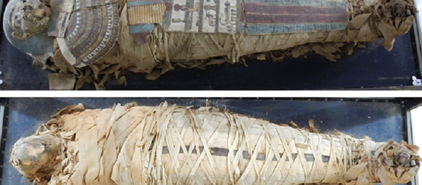The Egyptian Mummy before treatment - Sputnik International