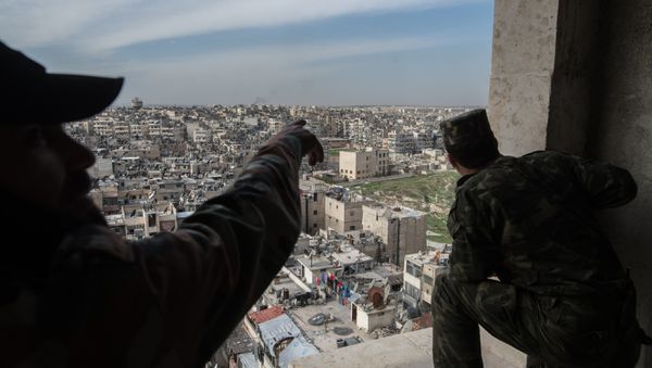 Syrian Arab Army troops in Aleppo - Sputnik International