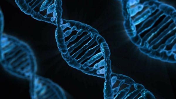 DNA - Sputnik International