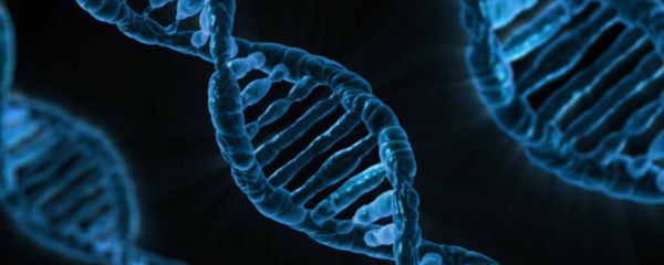 DNA DNA - Sputnik International
