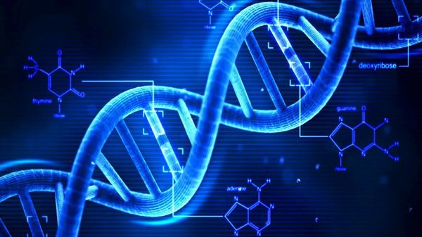 DNA - Sputnik International