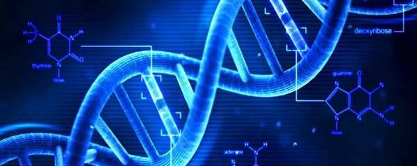 DNA DNA - Sputnik International