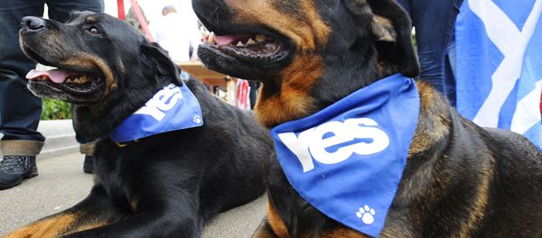 Scottish Elections - Sputnik International