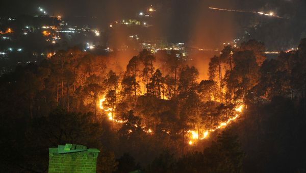 Wildfires burn through jungle near the northern hill town of Shimla in the Indian state of Himachal Pradesh on May 2, 2016 Wildfires burn through jungle near the northern hill town of Shimla in the Indian state of Himachal Pradesh on May 2, 2016 - Sputnik International