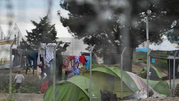 The Vinojug and Idomeni camps for refugees on the Greek-Macedonian border The Vinojug and Idomeni camps for refugees on the Greek-Macedonian border - Sputnik International