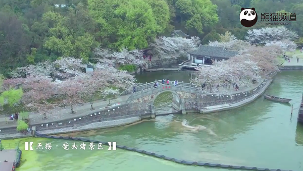 Wuxi's Yuantouzhu: Cherry blossom - Sputnik International