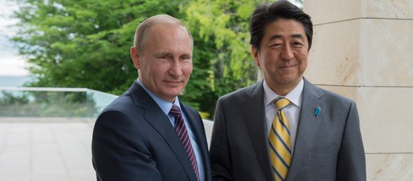 President Putin meets with Japan's Prime Minister Shinzo Abe President Putin meets with Japan's Prime Minister Shinzo Abe - Sputnik International
