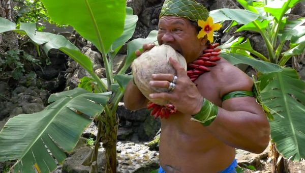 How to Husk a Coconut - Sputnik International