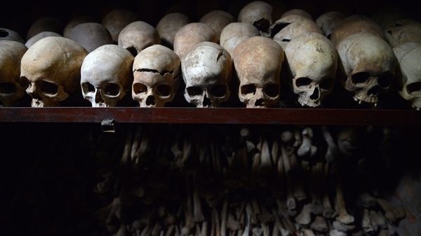 This file photo taken on April 04, 2014 shows human skulls preserved exhibited at the Genocide memorial in Nyamata, inside a Catholic church, where thousands were slaughtered during the 1994 genocide in Rwanda. This file photo taken on April 04, 2014 shows human skulls preserved exhibited at the Genocide memorial in Nyamata, inside a Catholic church, where thousands were slaughtered during the 1994 genocide in Rwanda. - Sputnik International