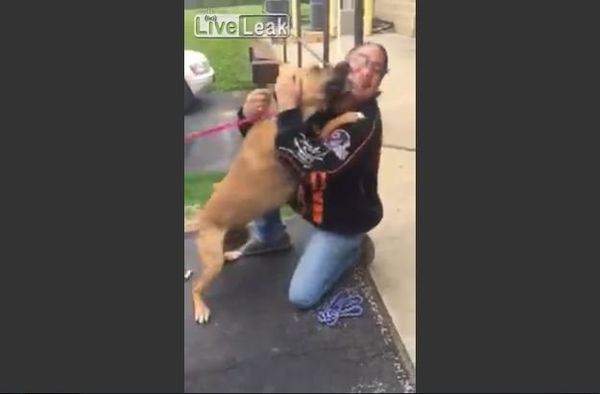 Dog is Super Excited to See his Owner After Two Long Years - Sputnik International