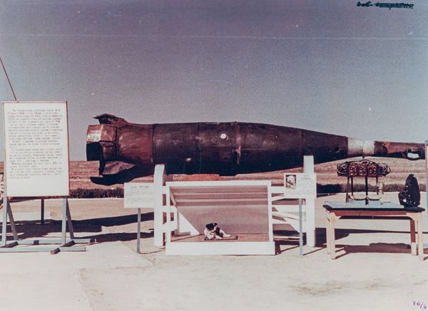 Head of R-5A missile with dog Motley after landing - Sputnik International
