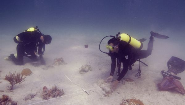 Underwater archaeologists. Florida (File) Underwater archaeologists. Florida (File) - Sputnik International