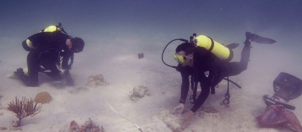 Underwater archaeologists. Florida (File) - Sputnik International