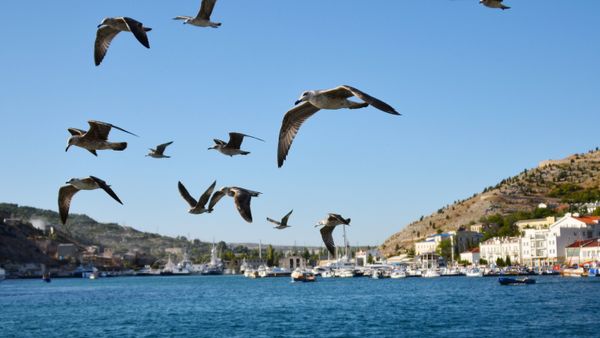Russian regions, Crimea Russian regions, Crimea - Sputnik International