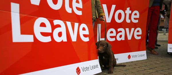 A dog sits by a sign as supporters gather for the launch of the Vote Leave bus campaign, in favour of Britain leaving the European Union, in Truro, Britain May 11, 2016 - Sputnik International