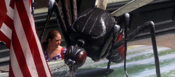 A woman walks past a giant fake mosquito placed on top of a bus shelter as part of an awareness campaign about the Zika virus in Chicago, Illinois, United States, May 16, 2016 - Sputnik International