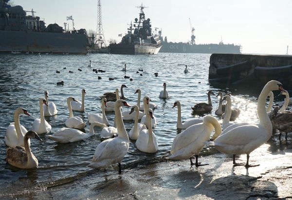 Russia's Baltic Fleet Celebrates Its Birthday - Sputnik International