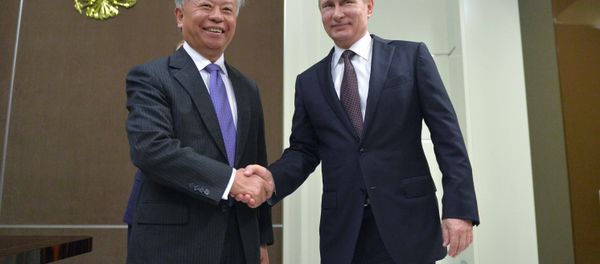 President Vladimir Putin's meeting with President of Asian Infrastructure Investment Bank Jin Liqun - Sputnik International