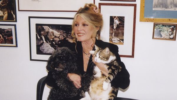 Brigitte Anne-Marie Bardot - Sputnik International