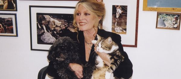 Brigitte Anne-Marie Bardot Brigitte Anne-Marie Bardot - Sputnik International