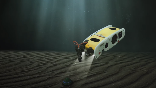 Saab's Sea Wasp - Sputnik International