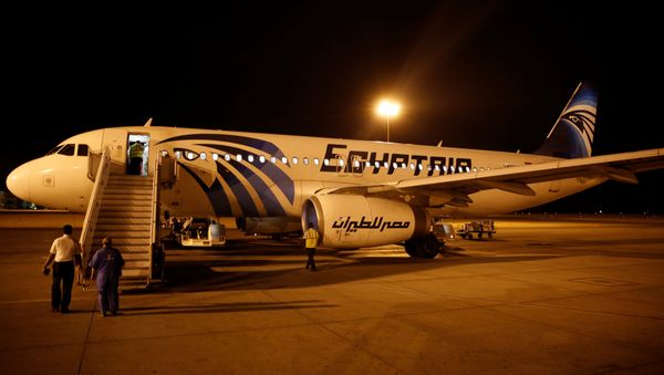 Airport security check an EgyptAir plane after it arrived from Cairo to Luxor International Airport, Egypt Airport security check an EgyptAir plane after it arrived from Cairo to Luxor International Airport, Egypt - Sputnik International