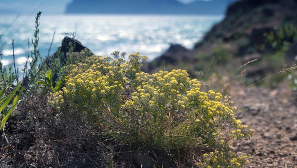 Russian Regions. Crimea Russian Regions. Crimea - Sputnik International