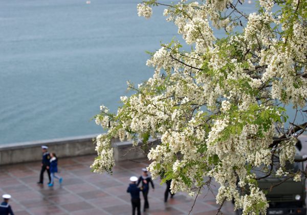 Sun-Kissed Pearl, Breezy & Blossoming: Crimea Awaits Tourists With Open Arms - Sputnik International