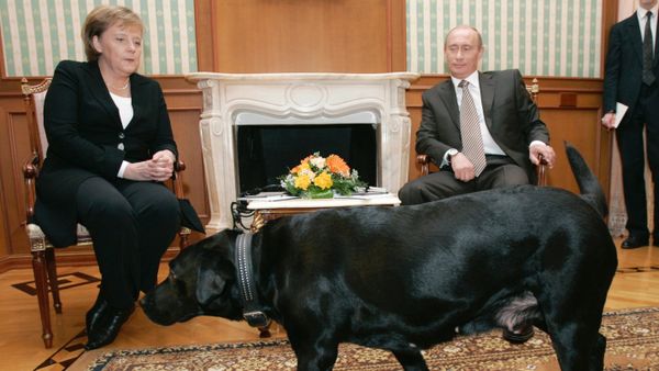 The German chancellor and the Russian president meeting in Sochi - Sputnik International