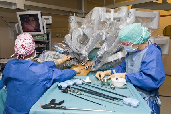 New Skull for New Body: Neurosurgeon Says Head Transplant Will Become Possible by 2030 New Skull for New Body: Neurosurgeon Says Head Transplant Will Become Possible by 2030 - Sputnik International