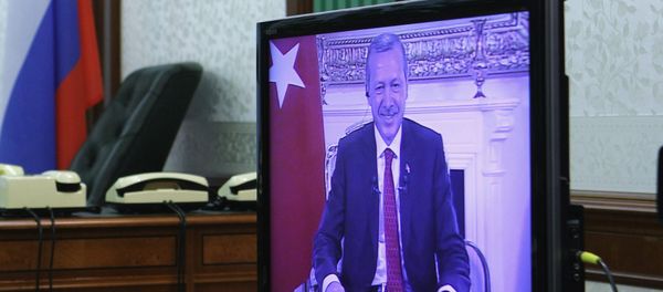 Recep Tayyip Erdogan seen on a screen during a teleconference (File) - Sputnik International