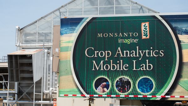 A building is viewed on the campus of Monsanto Headquarters on May 23, 2016 in St. Louis, Missouri A building is viewed on the campus of Monsanto Headquarters on May 23, 2016 in St. Louis, Missouri - Sputnik International