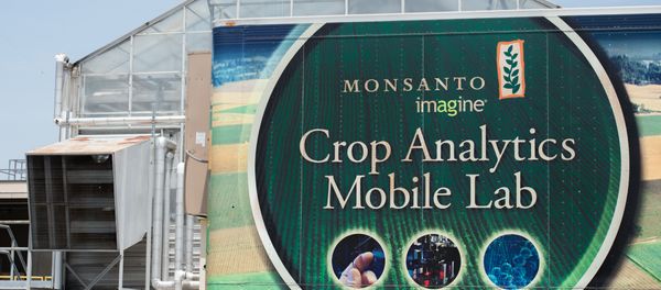 A building is viewed on the campus of Monsanto Headquarters on May 23, 2016 in St. Louis, Missouri A building is viewed on the campus of Monsanto Headquarters on May 23, 2016 in St. Louis, Missouri - Sputnik International