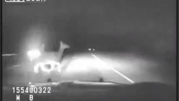 Dashcam Shows Elk Hit By Montana Highway Patrol Car - Sputnik International